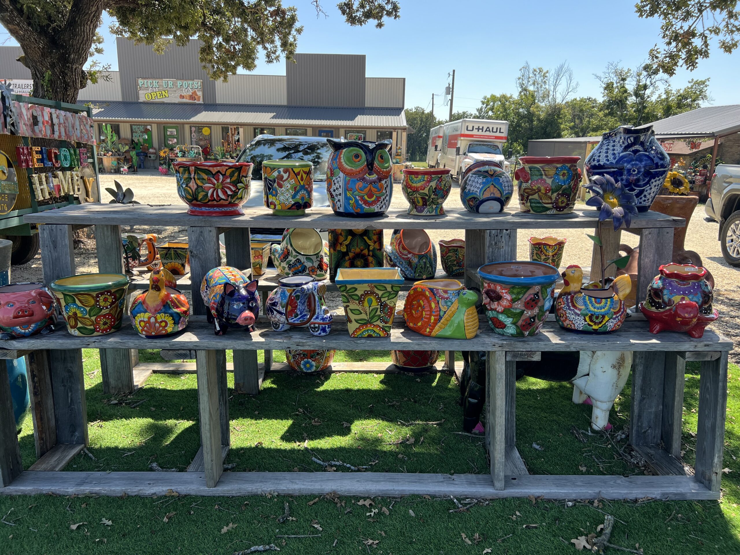 785127196-photo-sep-11-2025-2-37-20-pm