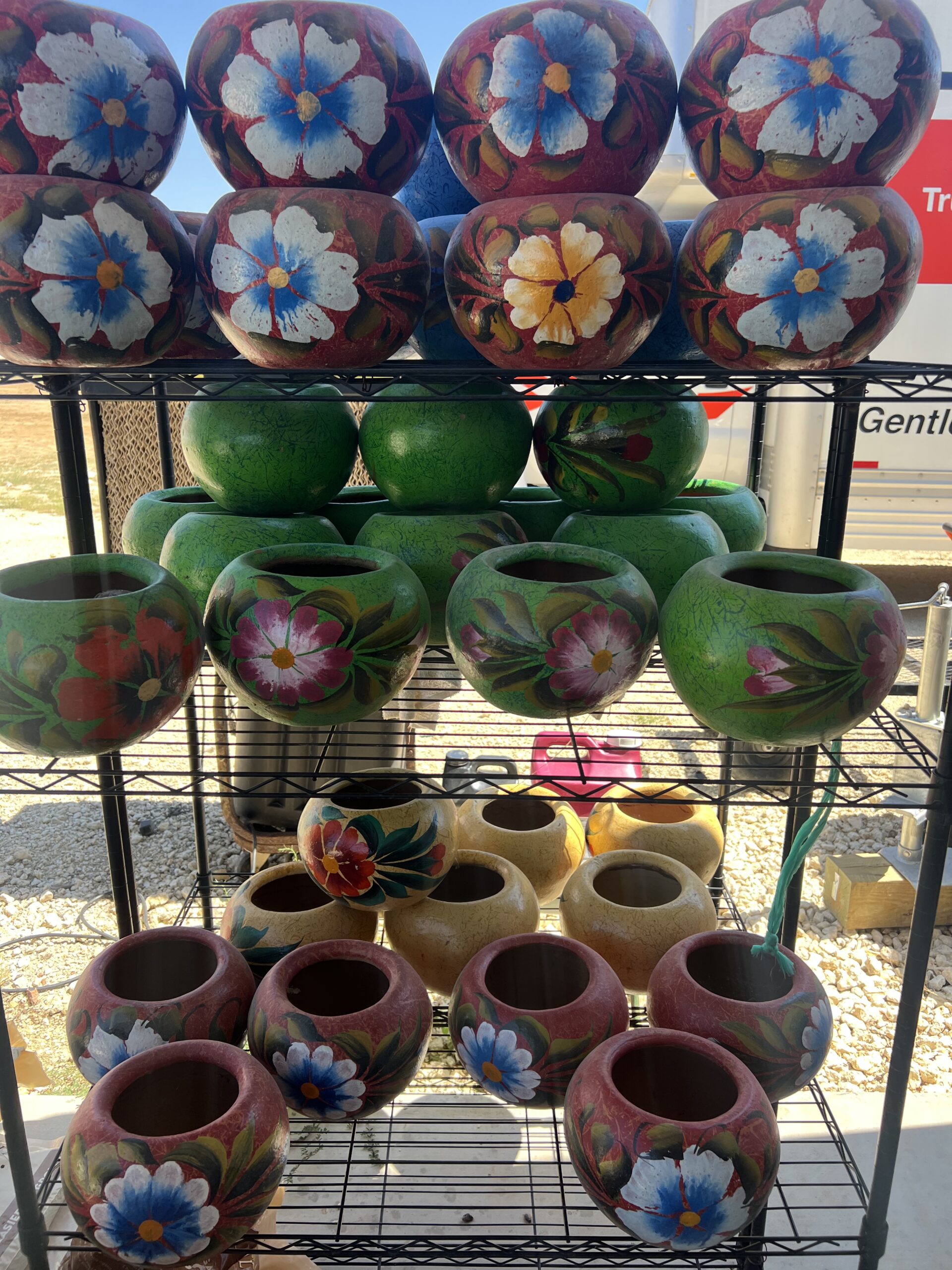 785127196-photo-sep-11-2025-2-37-20-pm